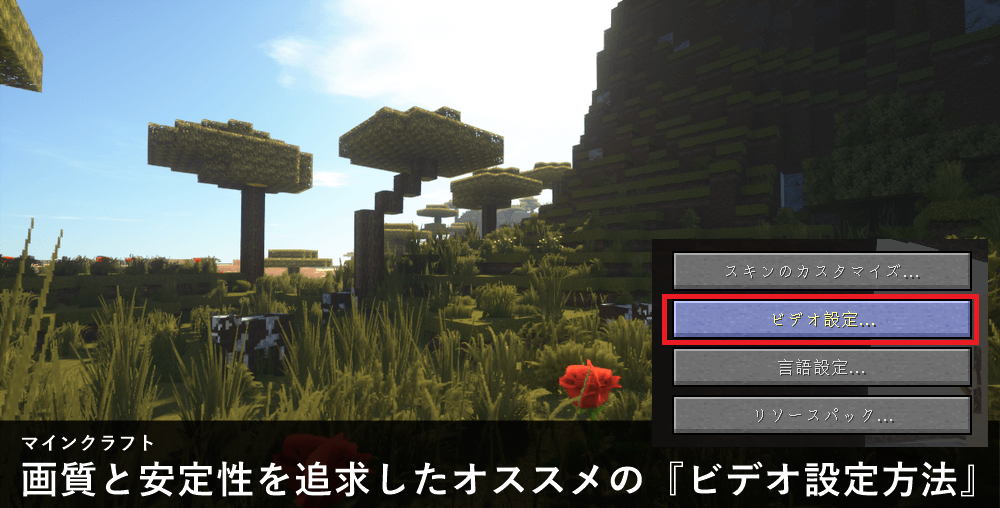 マイクラ 影mod導入時に 画質と安定性を追求したオススメの ビデオ設定方法 を紹介 ゲマステ 新作ゲームレビュー マイクラ ゲーム Mod情報まとめ