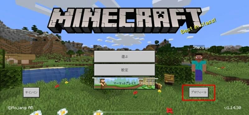 マイクラpe 誰でもできる 無料で好きなスキンを入れる 変更する