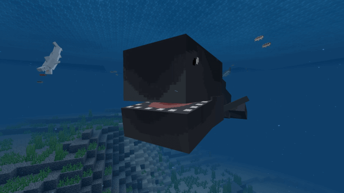 マイクラpe 海に巨大なクジラやシャチが出現 Whale Add On ゲマステ 新作ゲームレビュー マイクラ ゲームmod情報まとめ