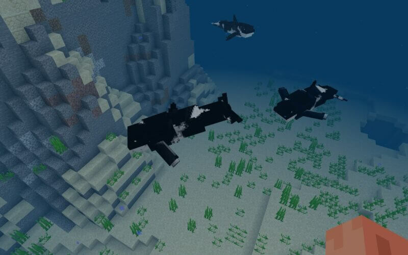 マイクラpe 海に巨大なクジラやシャチが出現 Whale Add On ゲマステ 新作ゲームレビュー マイクラ ゲームmod情報まとめ