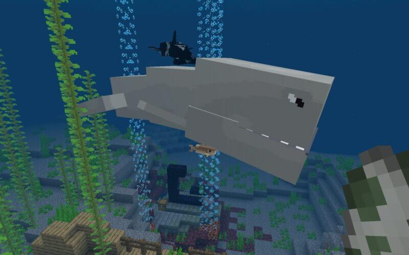 マイクラpe 海に巨大なクジラやシャチが出現 Whale Add On ゲマステ 新作ゲームレビュー マイクラ ゲームmod情報まとめ