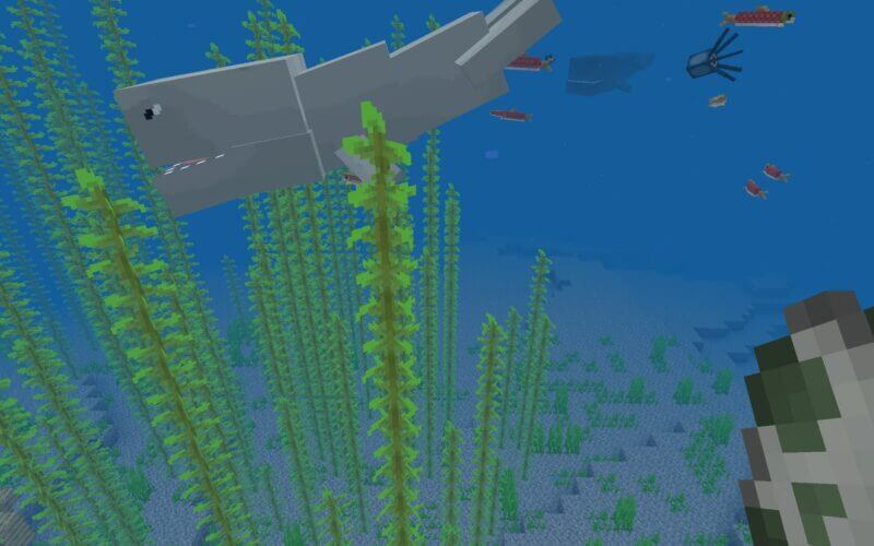 マイクラpe 海に巨大なクジラやシャチが出現 Whale Add On ゲマステ 新作ゲームレビュー マイクラ ゲームmod情報まとめ