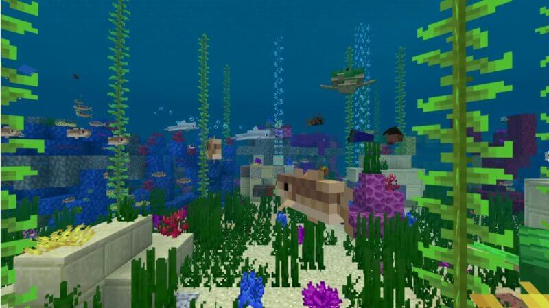 マイクラpe 海に巨大なクジラやシャチが出現 Whale Add On ゲマステ 新作ゲームレビュー マイクラ ゲームmod情報まとめ